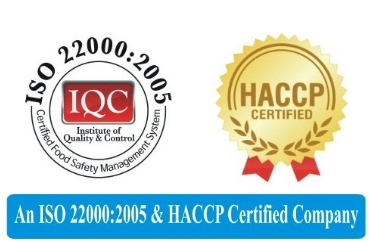 iso certified company