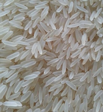 sharbati rice